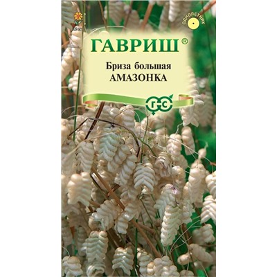 Бриза трясунка Амазонка (Гавр)