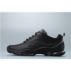 Кроссовки Ecco Biom natural