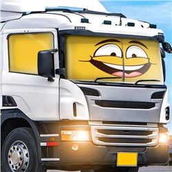 Автошторы Смайл 1