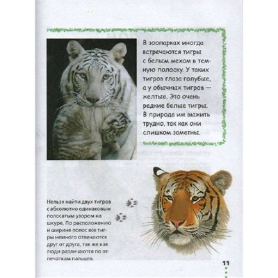 Прогулка по зоопарку. Джонсон Джинни