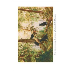 Родная речь. Книга для чтения в 1 классе начальной школы. Соловьёва Е.Е. и др. 1954