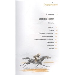 ЛМК Дегтярёва. Степной ветер (978-5-08-006042-7)