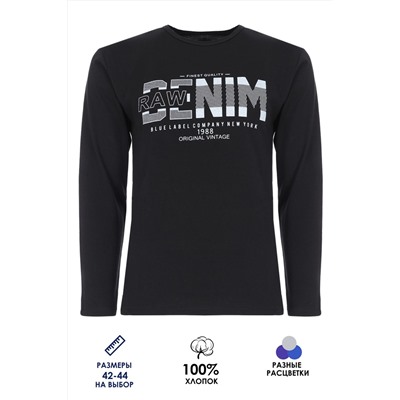 Футболка подростковая с длинным рукавом ФН171-1 Denim