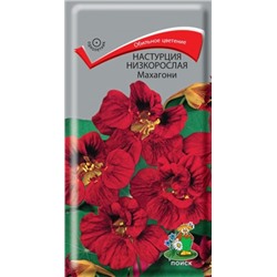 Цв.Настурция Махагони низкоросл.(Поиск) 1г