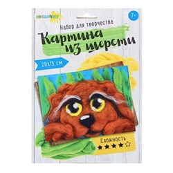 Хоббихит. Набор для творчества "Картина из шерсти", фетр, шерсть, пластик, 6 дизайнов 283-115