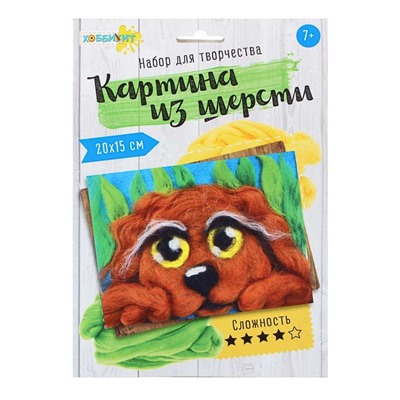 Хоббихит. Набор для творчества "Картина из шерсти", фетр, шерсть, пластик, 6 дизайнов 283-115