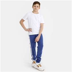 Трико Лампас футер