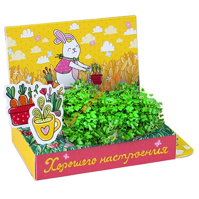 Подарочный набор "Веселые моменты. Хорошего настроения!" (Заяц) hps-223, hps-223