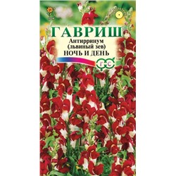 Львиный зев Ночь и день (Гавр)