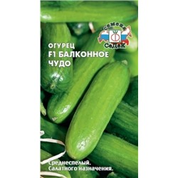 Огурец Балконное чудо F1 (Седек) 0,2