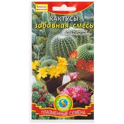 Кактусы Забавная смесь  (Код: 75218)