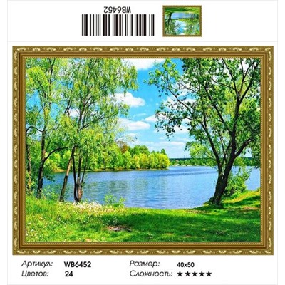 AM45 WB6452, 40х50 см