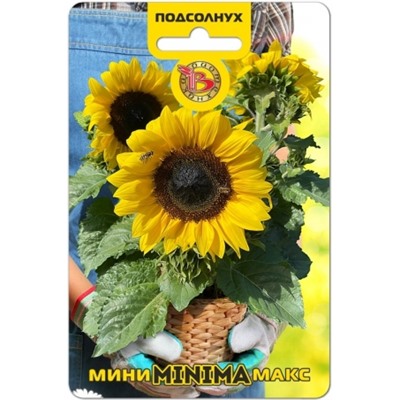 Цв.Подсолнечник Мини-Макс Минима F1 (Био) 5шт