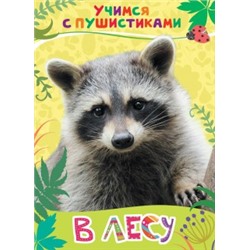 В лесу (Учимся с пушистиками)