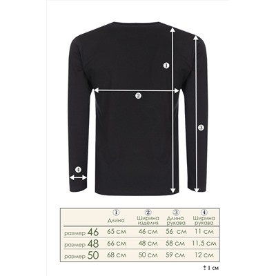 Футболка с длинным рукавом ФН176 Superior