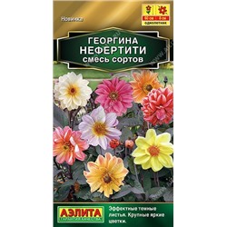 Георгина Нефертити, смесь сортов темнолистная (Аэлита)