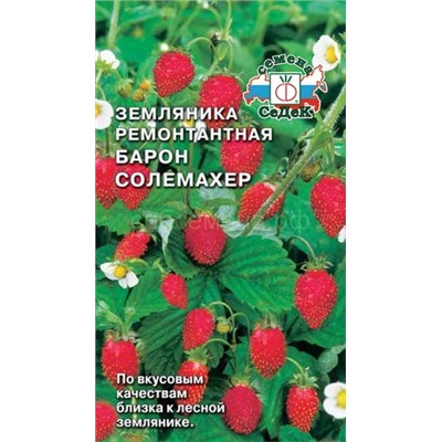 Земляника  Барон Солемахер (Седек)
