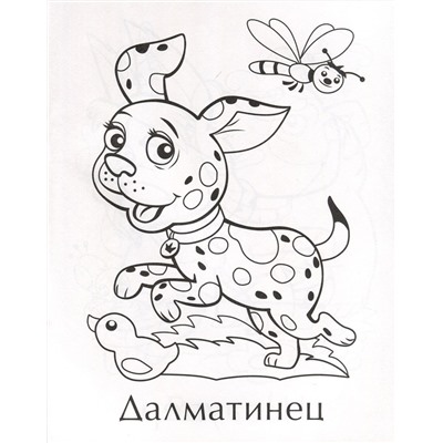 Собачки