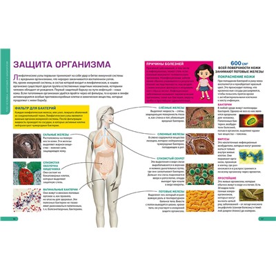 Детям о теле человека. Иллюстрированная энциклопедия
