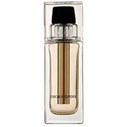 DIOR POUR HOMME   VOYAGE 40ml edt