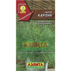 Укроп Карлик (Аэлита) 3г