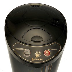 Чайник-термос электрический 750 Вт, 4,5 л ВАСИЛИСА ТП5-900 "Райские цветы" черный