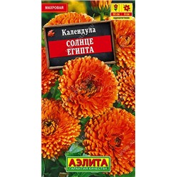 Календула Солнце Египта (Аэлита)
