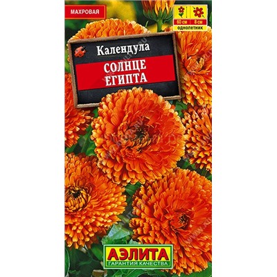 Календула Солнце Египта (Аэлита)