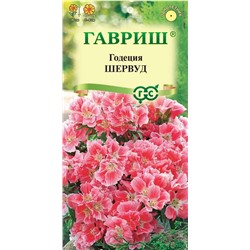 Годеция Шервуд махровая (Гавр)