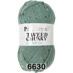 Пряжа Kamgarn TWEED CHUNKY PAPATYA