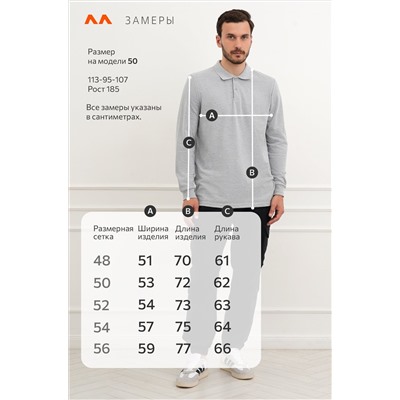 Мужской базовый лонгслив-поло Happyfox