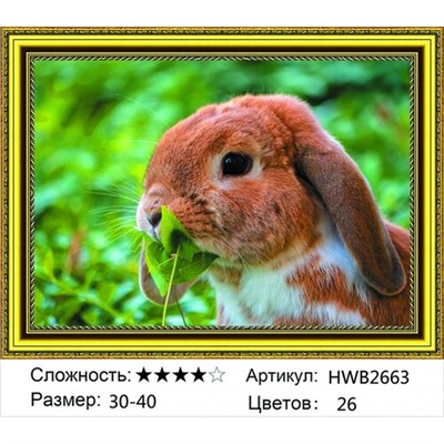 AM34 HWB2663, 30х40 см