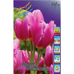 Тюльпан Хэппи Фэмили 10шт (ИС)