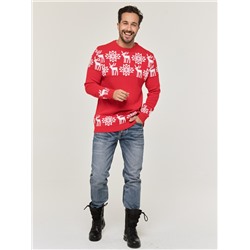 Джемпер мужской 202-12246