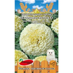 Цв.Барх.Персидские Котята F1 (ПС) 0,03г