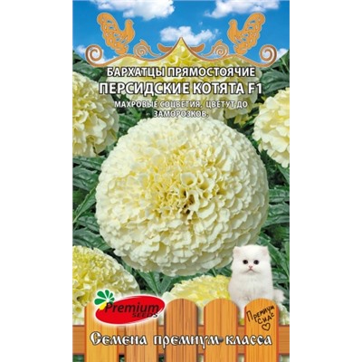 Цв.Барх.Персидские Котята F1 (ПС) 0,03г
