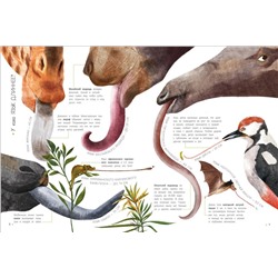 Уценка. Животные в метрах и миллиметрах