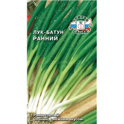 Лук батун Ранний (Седек)