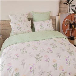 Комплект постельного белья Сатин 100% хлопок C611