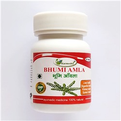 BHUMI AMLA, Karmeshu (БХУМИ АМЛА, Кармешу), 60 таб. по 500 мг.