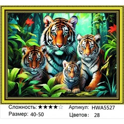 AM45 HWA5527, 40х50 см