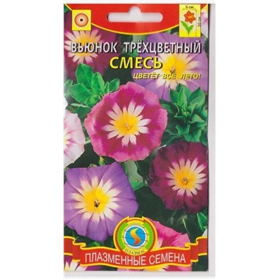 Вьюнок Трехцветный смесь  (Код: 75164)
