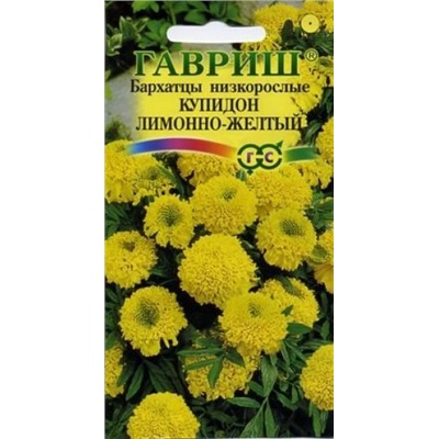 Цв.Барх.Купидон лимонно-желтый прямост. (Гавриш) 0,05г низ.