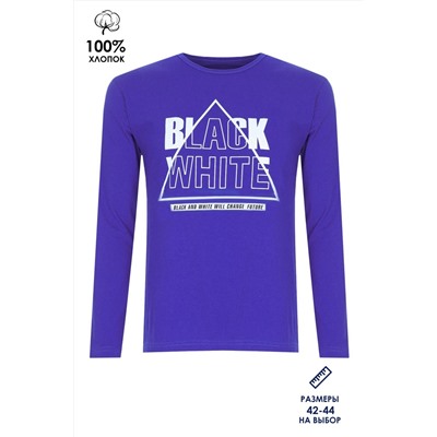 Футболка с длинным рукавом Black White ФН170-1