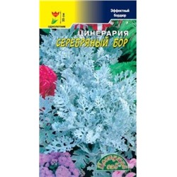 Цв.Цинерария Серебряный бор (Цв.Сад) 0,1г