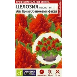 Цв.Целозия Айс Крим Оранжевый факел перистая 10шт (Сем.Алтая)