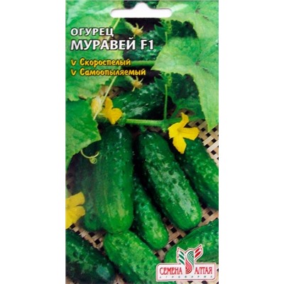Огурец Муравей F1 (Сем.Алтая) 5шт