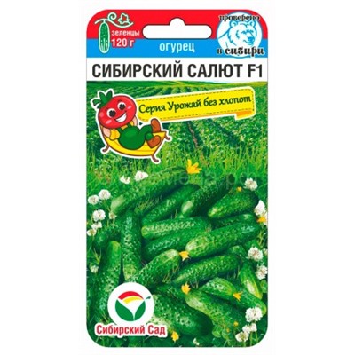 Огурец Сибирский салют F1 (Сиб сад)