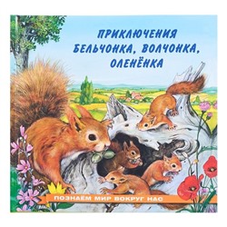 Кн. Познаем мир вокруг нас. Приключение бельчонка 16 цветн.стр. 21*21см 28510