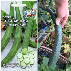 СП Дачный сезон